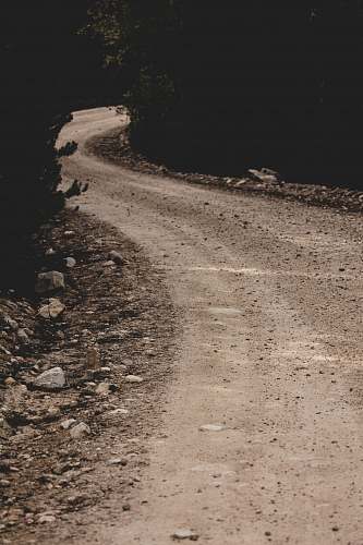 dirt road rough curved road in between trees gravel